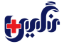 Logo of Negincare, featuring a medical cross and Persian script.